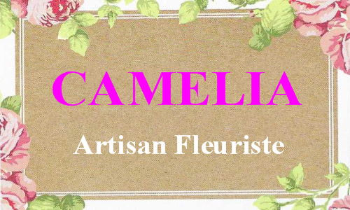 fleuriste a braine